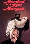 Murders in the Rue Morgue poster image