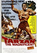 Tarzan the Magnificent poster image