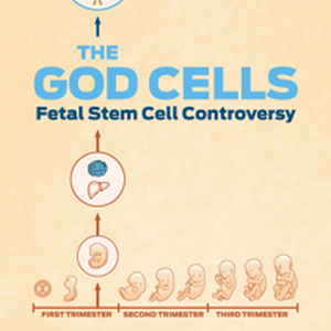 The God Cells photo 9