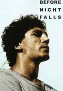 Before Night Falls poster image