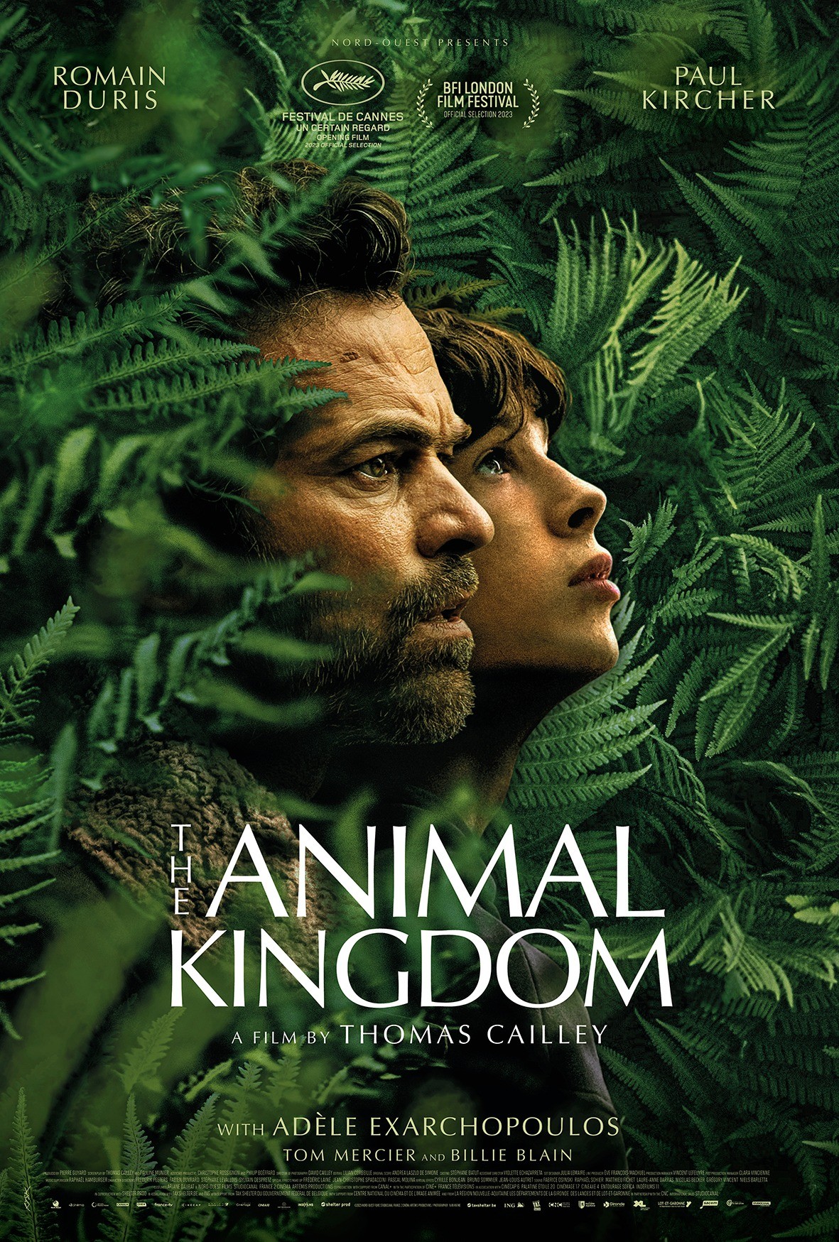 The Animal Kingdom Rotten Tomatoes