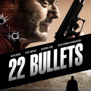 22 Bullets photo 3