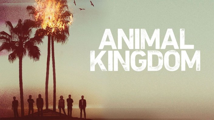 Tv shows similar 2024 to animal kingdom