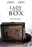 Lady in the Box poster image