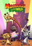 Madagascar: A Little Wild poster image