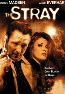 The Stray poster image