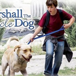 Marshall the Miracle Dog photo 4