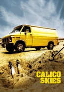 Calico Skies poster image