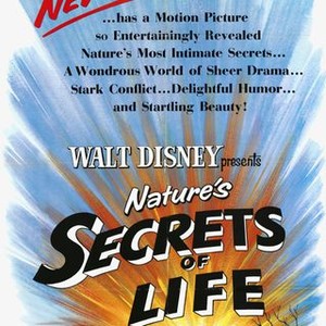 The Secrets of Life (1956)