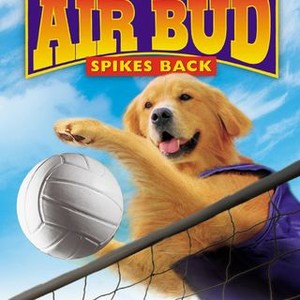 Air Bud Spikes Back 2003 Rotten Tomatoes