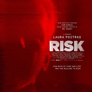 Risk (2016) photo 4