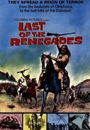 Last of the Renegades poster image