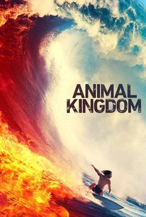 Animal kingdom season top 4 free on prime