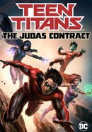 Teen Titans: The Judas Contract poster image