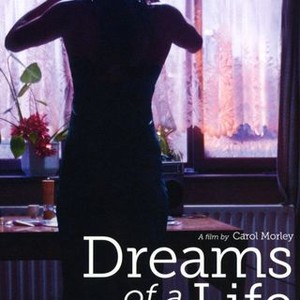 Dreams of a Life (2011) photo 20