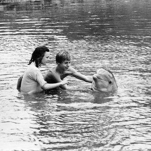 FLIPPER'S NEW ADVENTURE, Pamela Franklin, Luke Halpin, Flipper, 1964