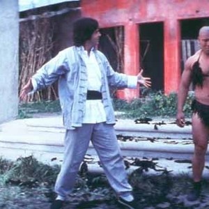 Kung Pow: Enter the Fist photo 12