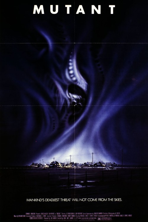 Night Shadows poster