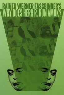 Why Does Herr R. Run Amok? poster