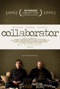 Collaborator poster