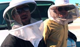 Jackass: Number Two: Official Clip - Beehive Limo