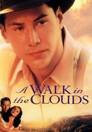 A Walk in the Clouds poster image