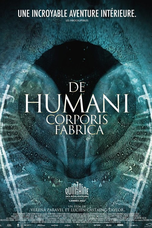 De Humani Corporis Fabrica poster