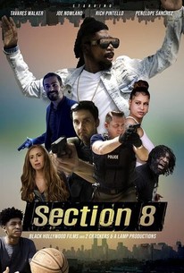 section 8 movie review