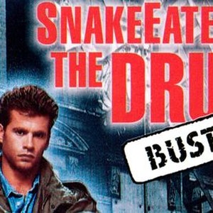 SnakeEater II: The Drug Buster photo 4