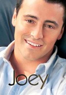 Joey poster image