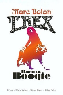 Born to Boogie | Rotten Tomatoes