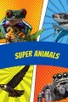 Poster for 