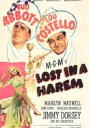 Lost in a Harem poster image
