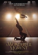 A Wonderful Moment poster image