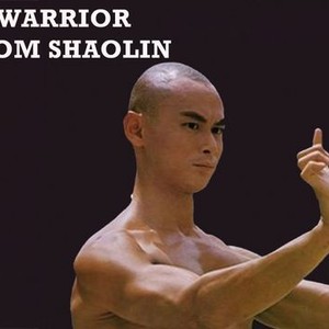 "Warrior From Shaolin photo 5"