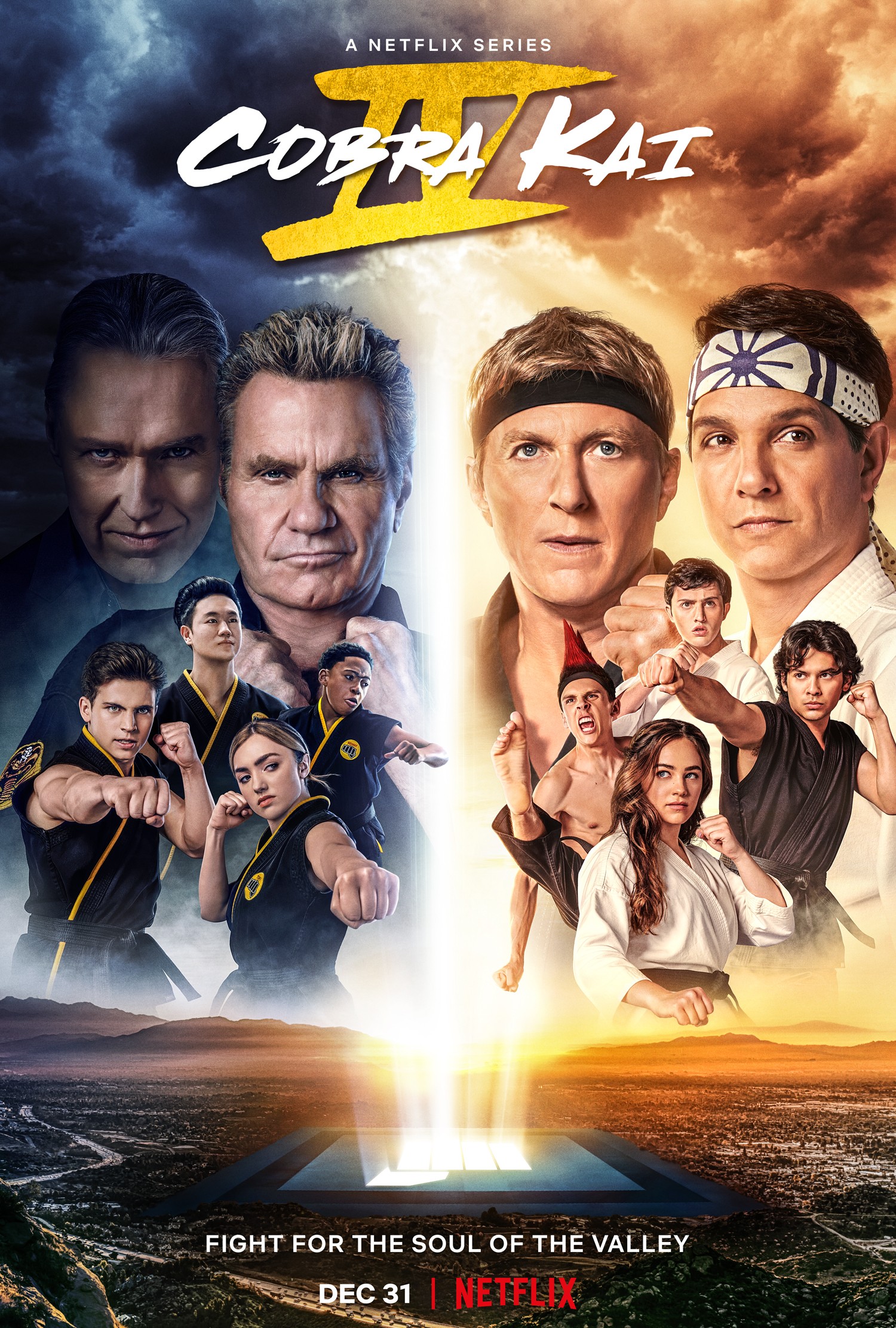 75% Cobra Kai: The Karate Kid Saga Continues on