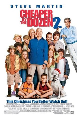 Cheaper by the Dozen 2 poster