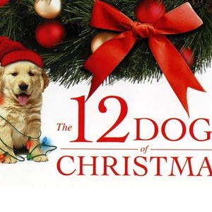 The 12 Dogs of Christmas photo 7