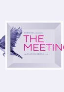 The Meeting poster image