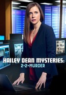 Hailey Dean Mystery: 2+2=4 Murders poster image