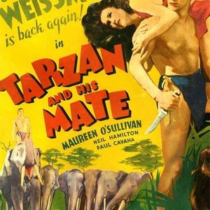 Tarzan and His Mate photo 2