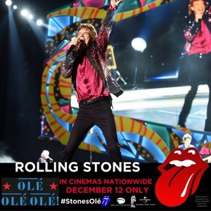 The Rolling Stones Olé, Olé, Olé!: A Trip Across Latin America photo 10