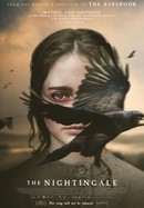 The Nightingale poster image