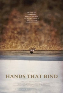 Hands That Bind poster