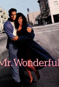 Mr Wonderful 1993 Rotten Tomatoes