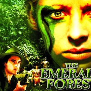 "The Emerald Forest photo 10"