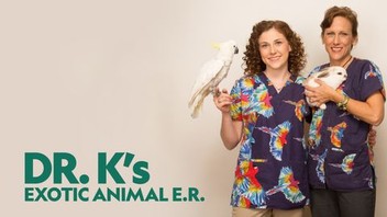 Dr t exotic animal er cheap