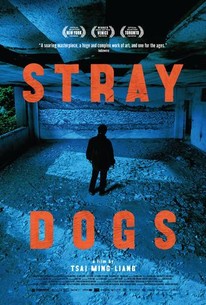 Stray Dogs poster