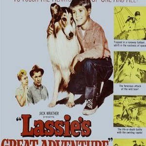 "Lassie&#39;s Great Adventure photo 6"