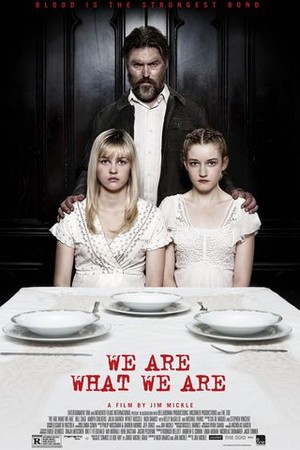 We Are What We Are poster